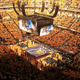 Illustration for article titled Pay-To-Play Is The Stadium Grift That Keeps On Giving